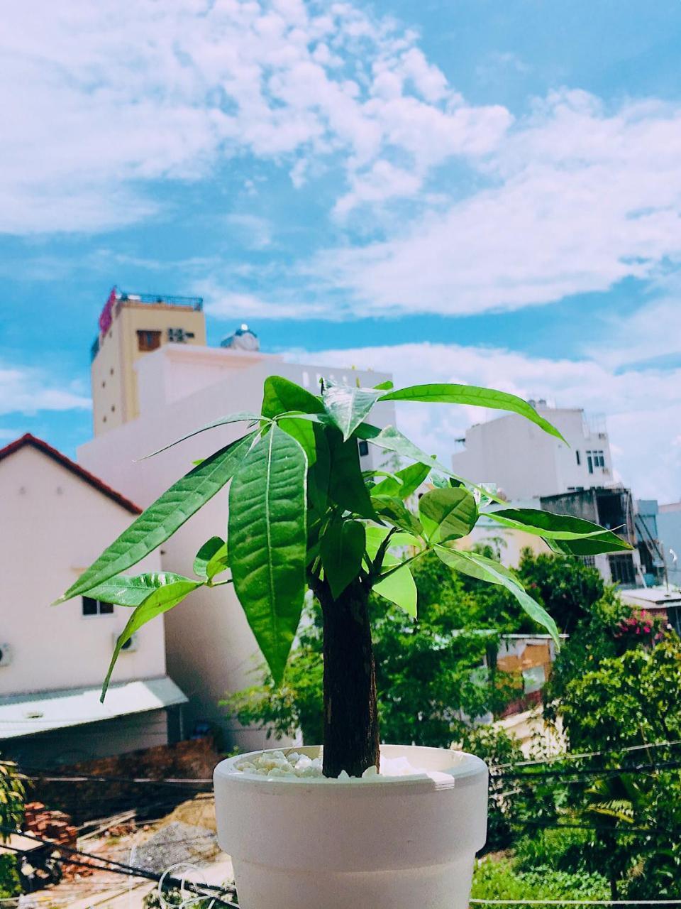Huha Home - Đà Nẵng Kültér fotó